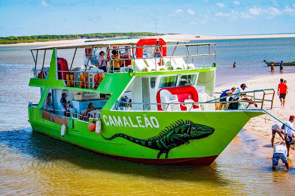 Passeio de Barco - Delta Camaleão